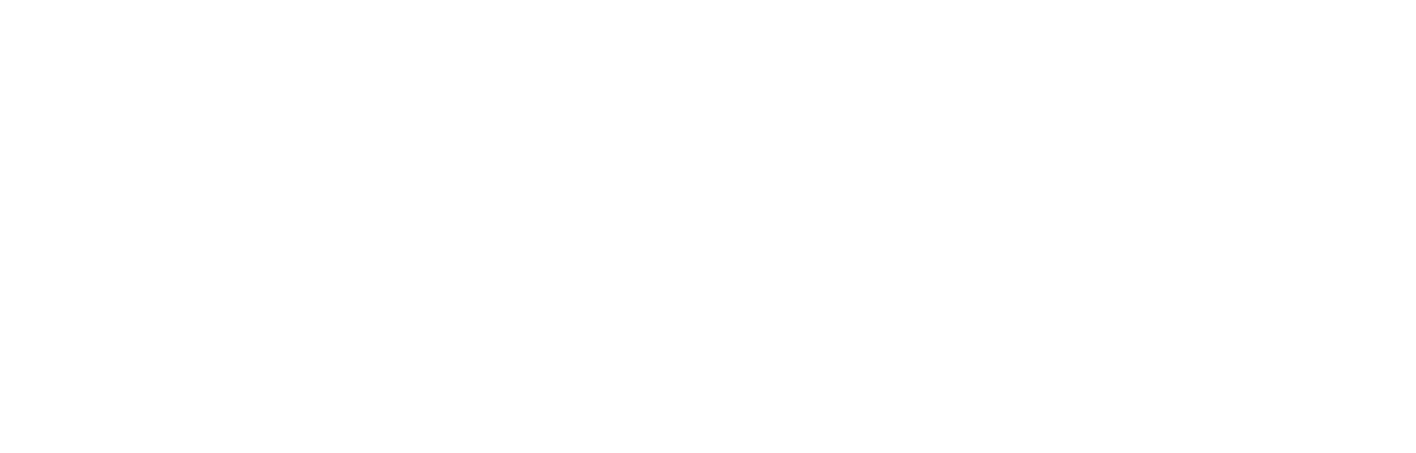 logo-eBUPirepública portuguesa-branco